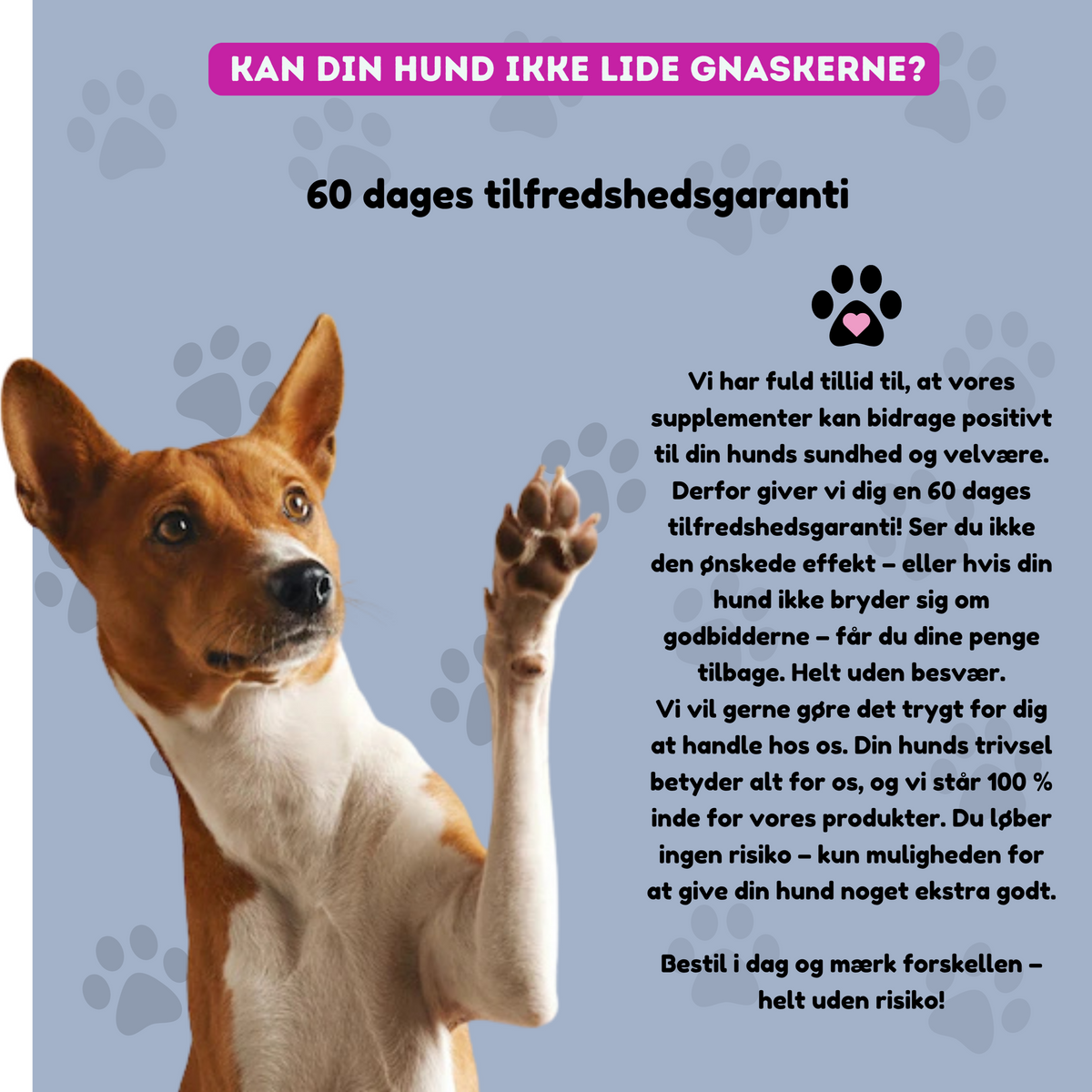 FlexiGnasker™ Hofte- & Ledpleje