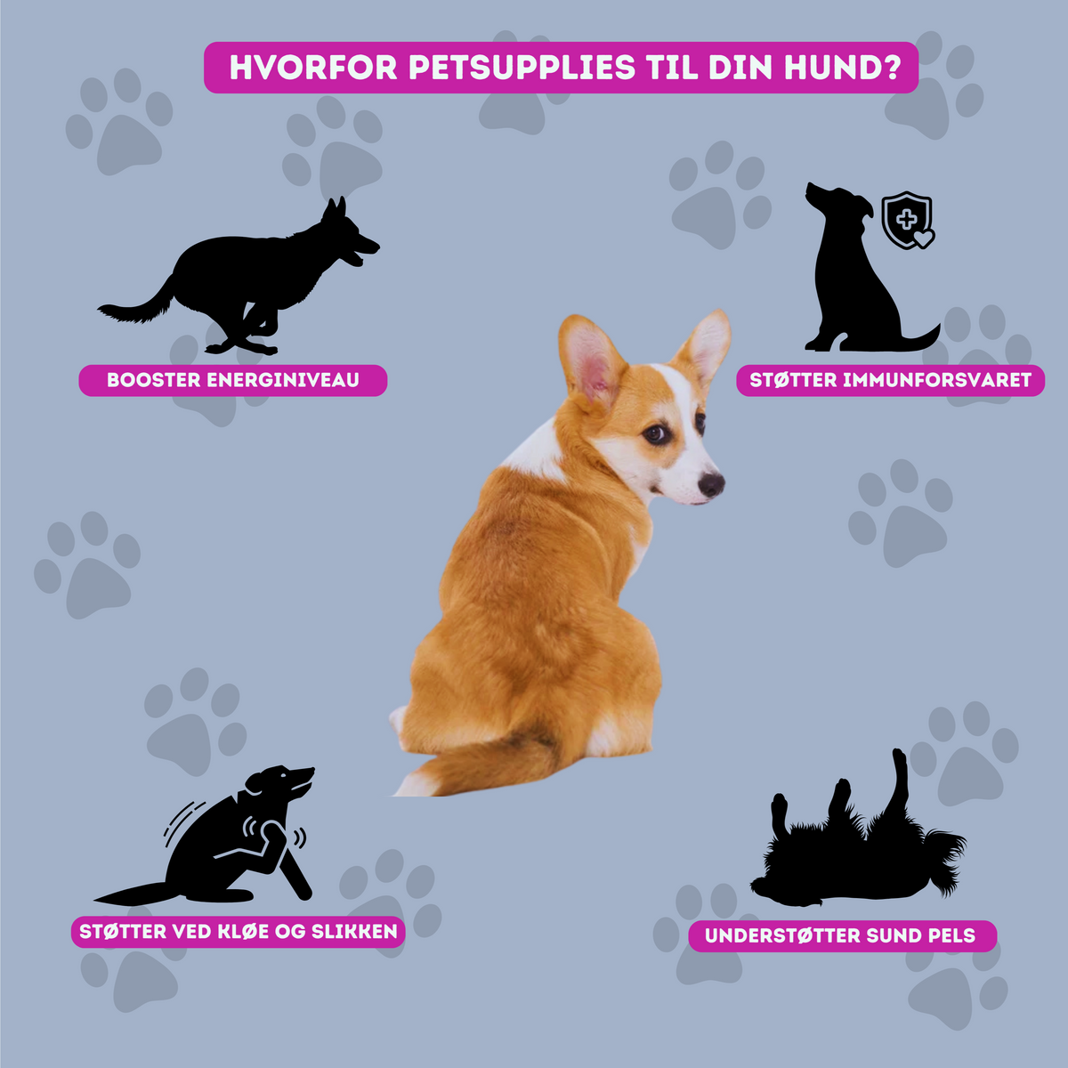 FlexiGnasker™ Hofte- & Ledpleje