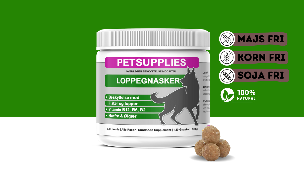 LoppeGnasker™ Loppekur