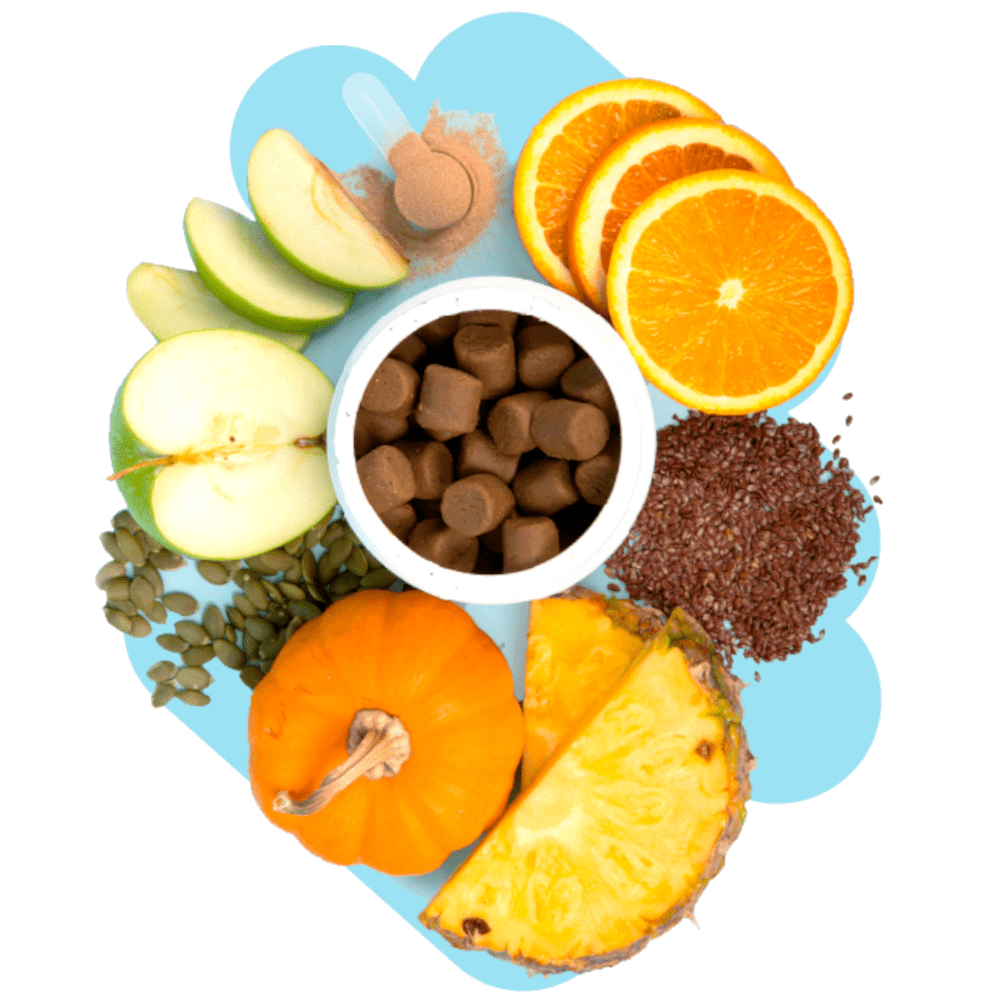 MultiGnasker™ Multivitamin